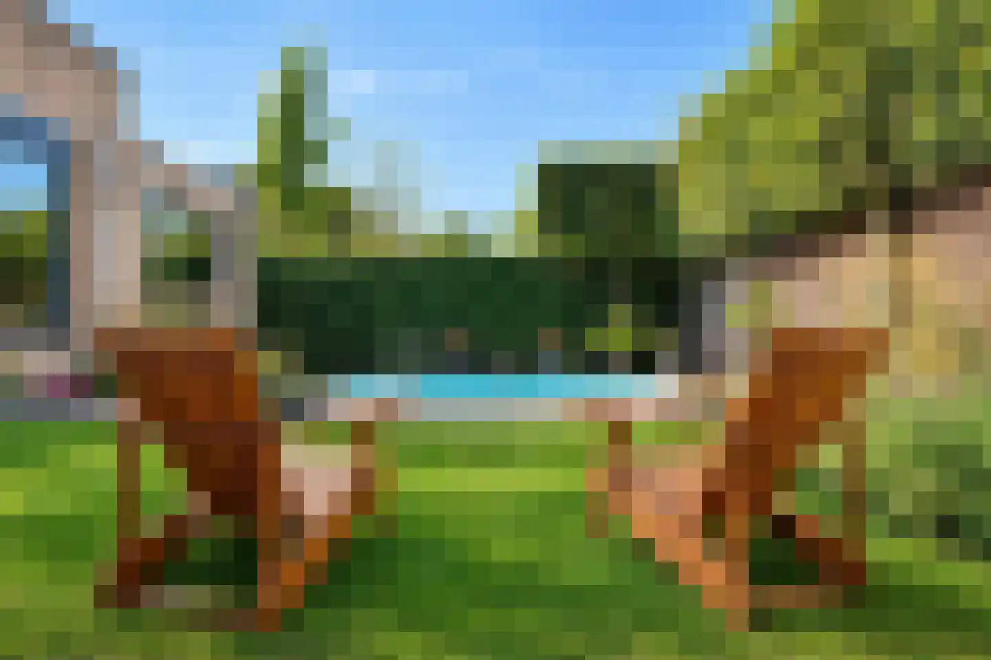 Lijsterbesstraat 27 Heteren thumbnail 45