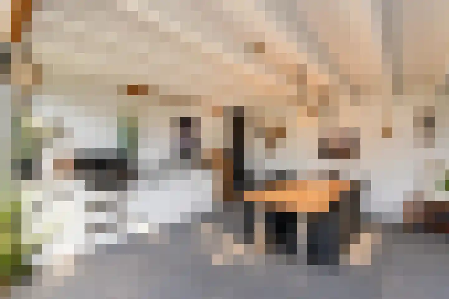 Lijsterbesstraat 27 Heteren thumbnail 46