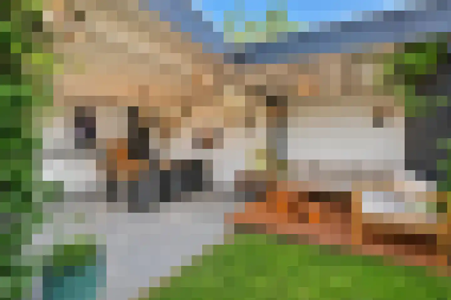 Lijsterbesstraat 27 Heteren thumbnail 47