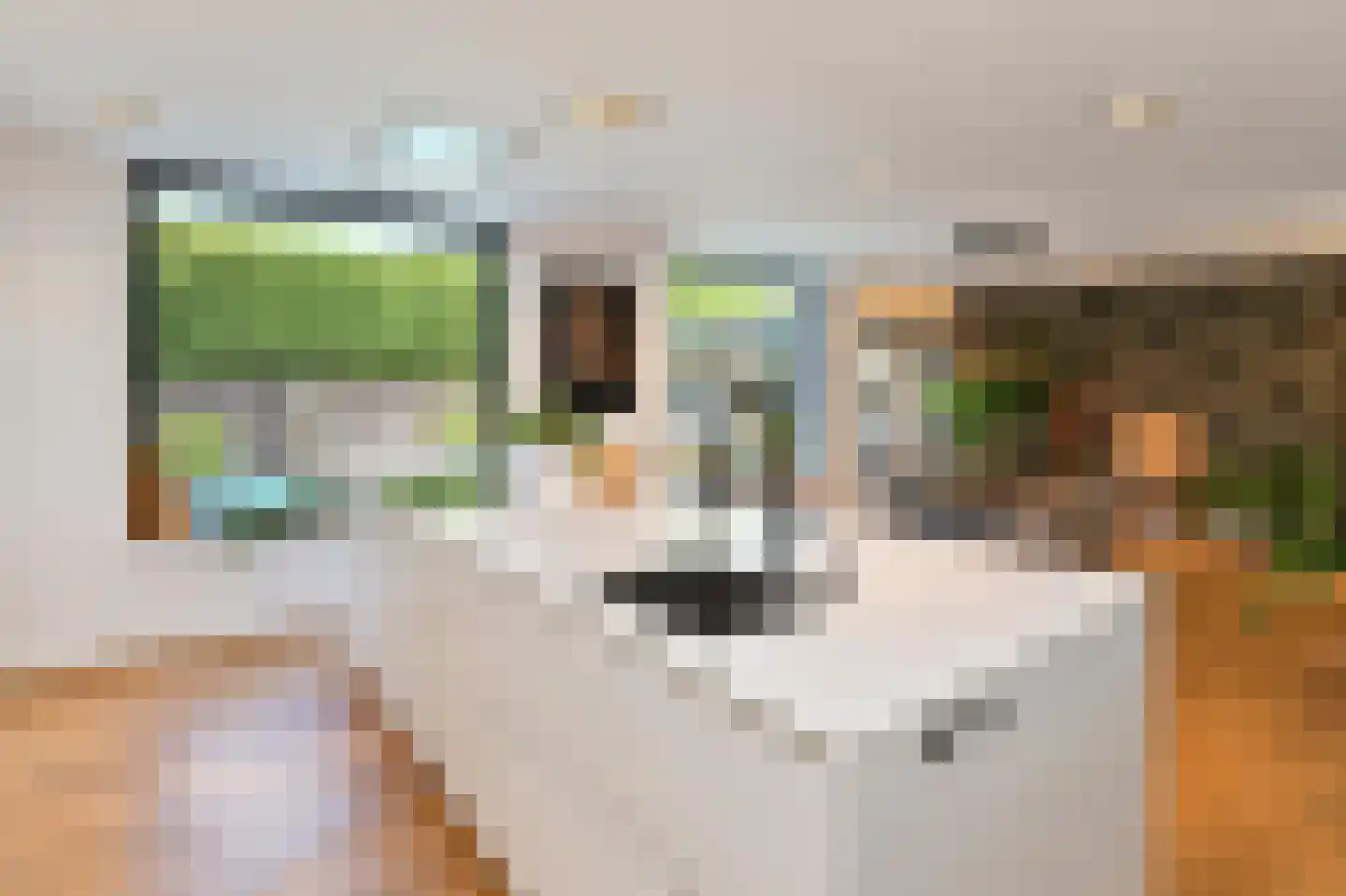 Lijsterbesstraat 27 Heteren thumbnail 5