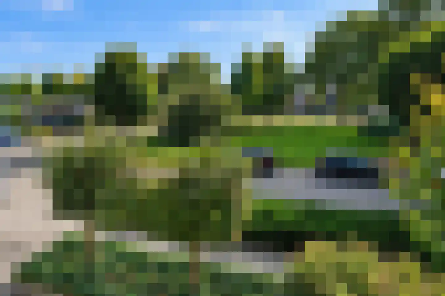 Lijsterbesstraat 27 Heteren thumbnail 58