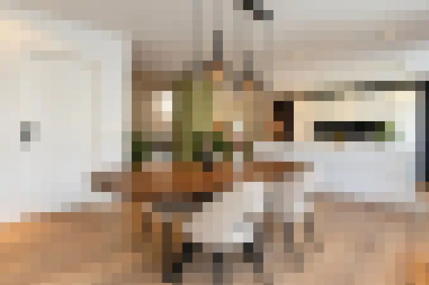 Lijsterbesstraat 27 Heteren thumbnail 6