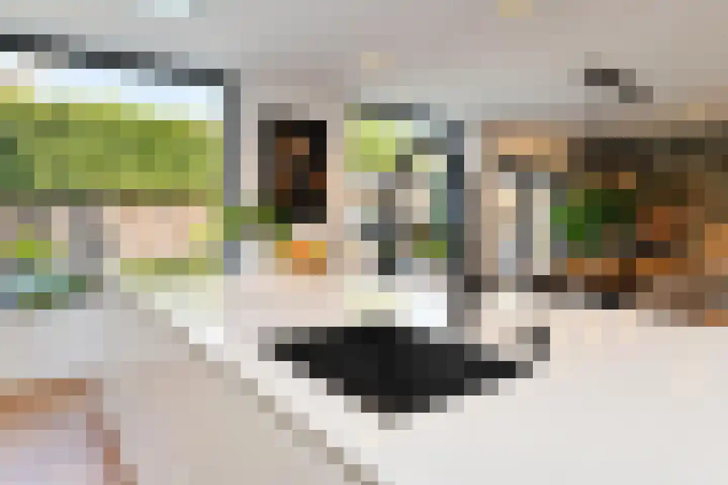 Lijsterbesstraat 27 Heteren thumbnail 9