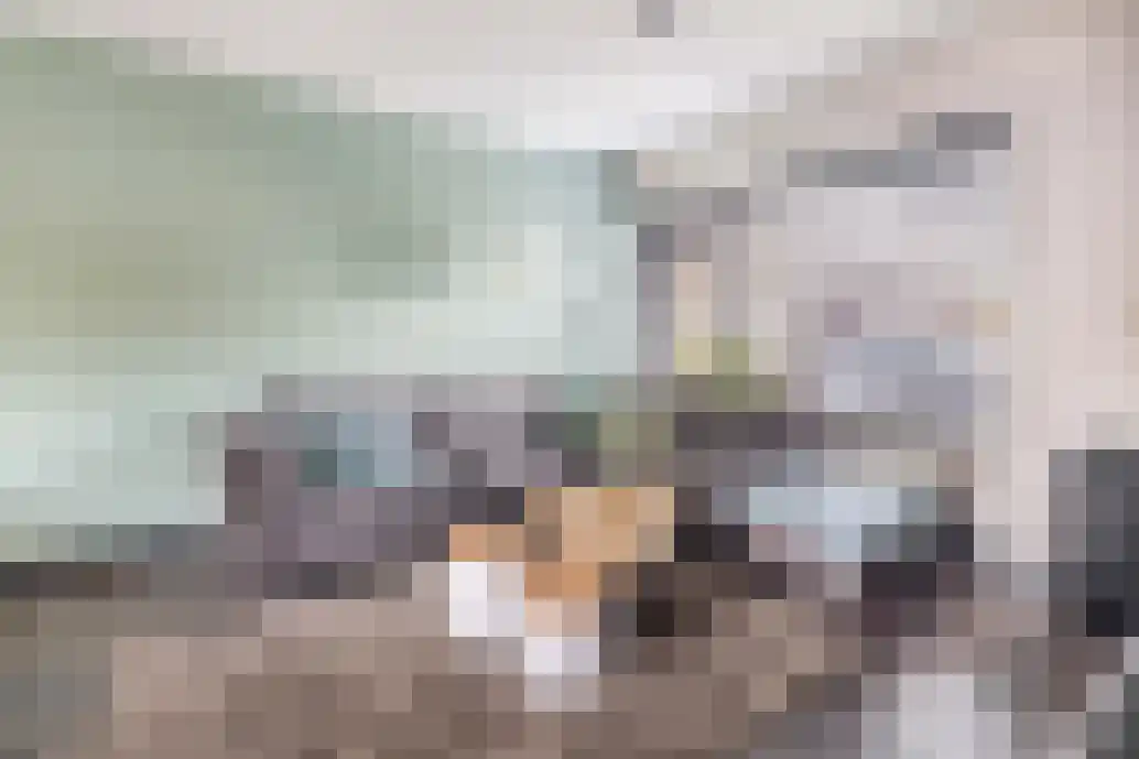 Lijsterbesstraat 27 Musselkanaal thumbnail 11