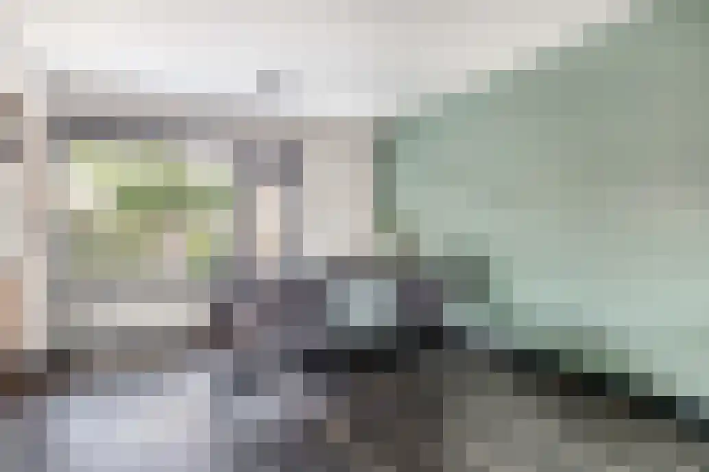 Lijsterbesstraat 27 Musselkanaal thumbnail 13