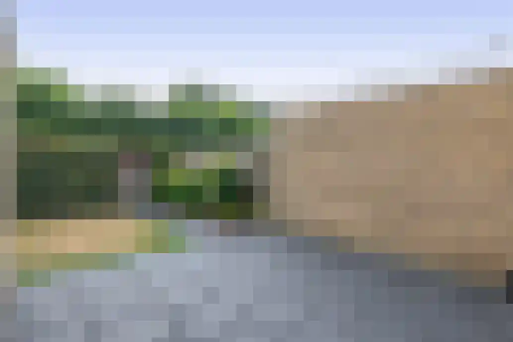Lijsterbesstraat 27 Musselkanaal thumbnail 30