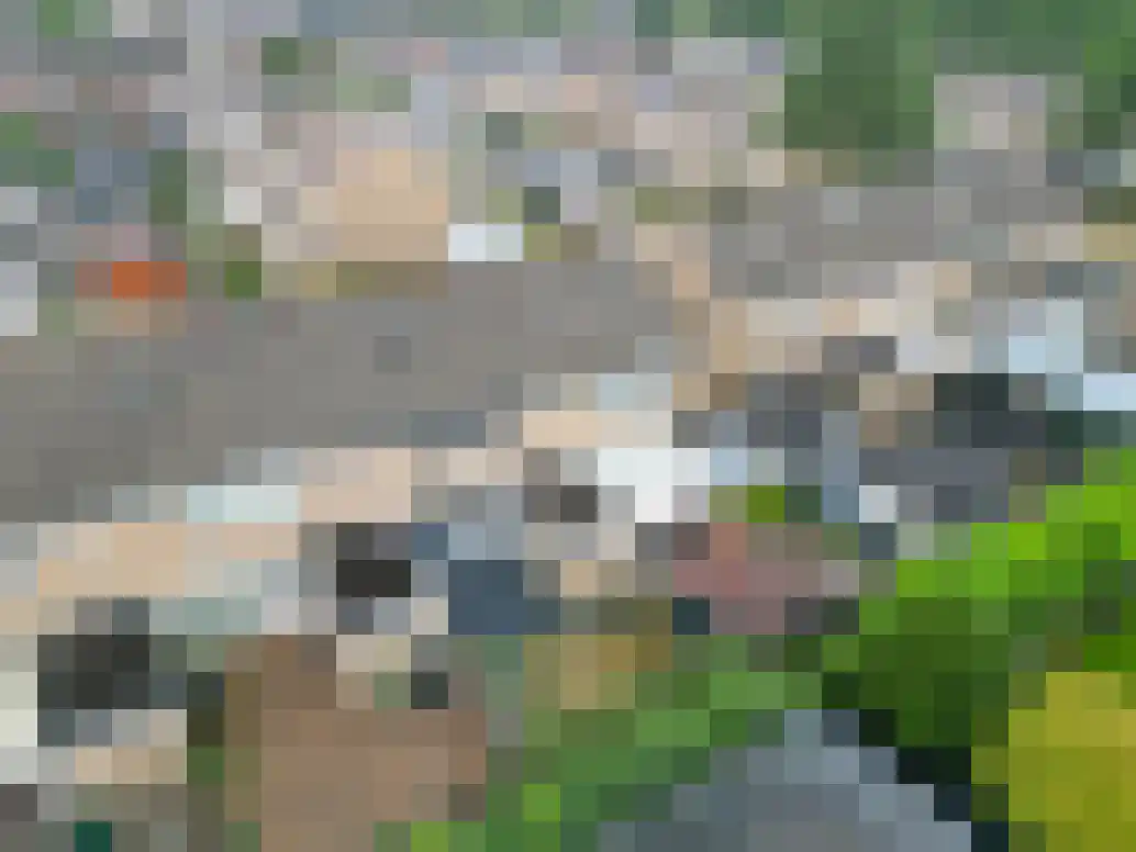 Lijsterbesstraat 27 Musselkanaal thumbnail 39