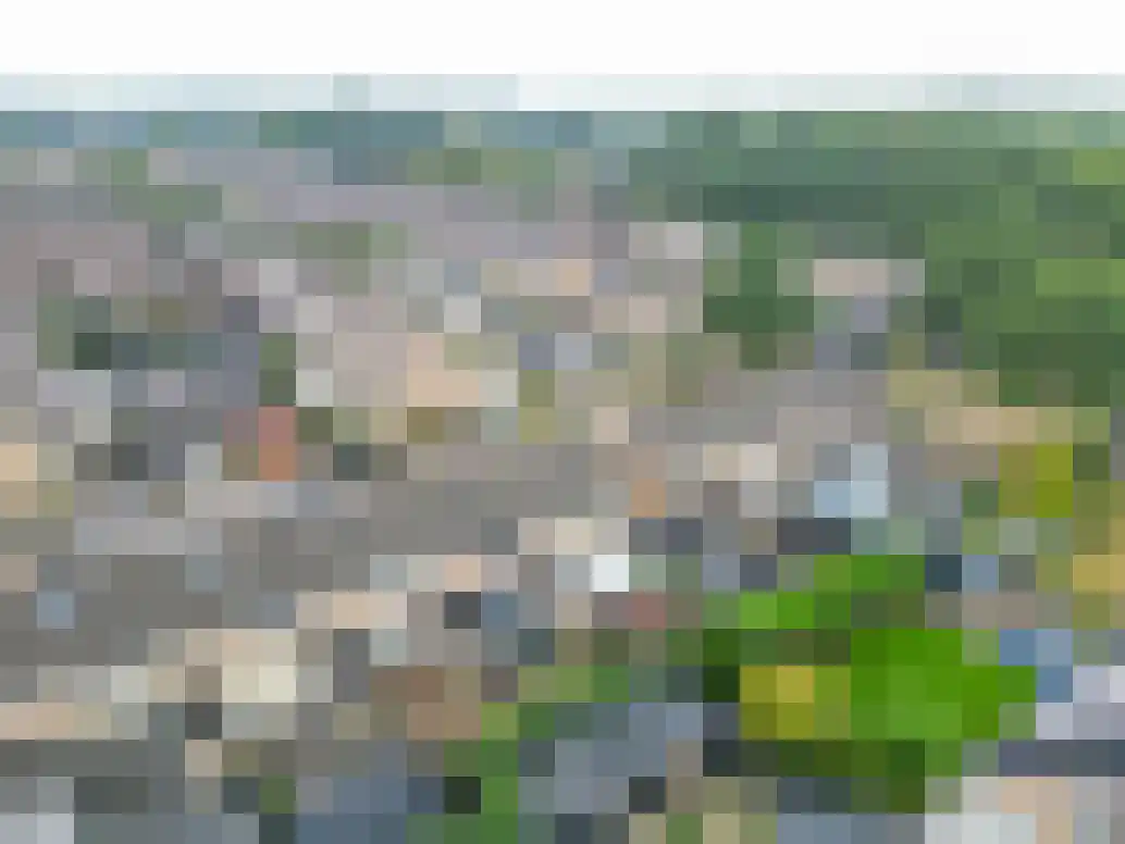 Lijsterbesstraat 27 Musselkanaal thumbnail 41
