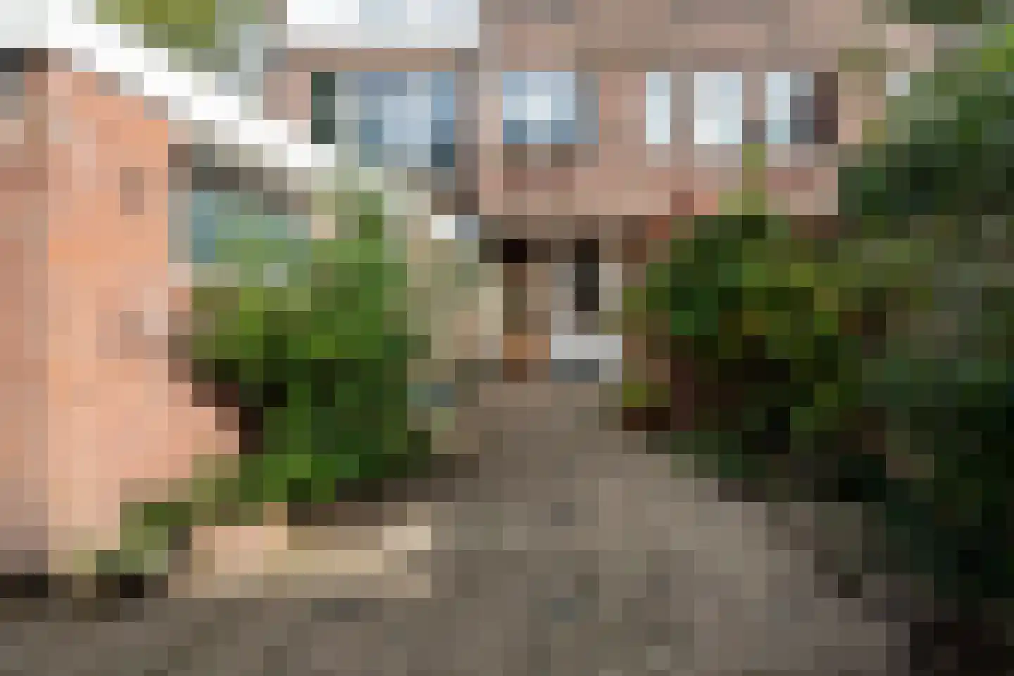 Lijsterbesstraat 28 Den Haag thumbnail 12