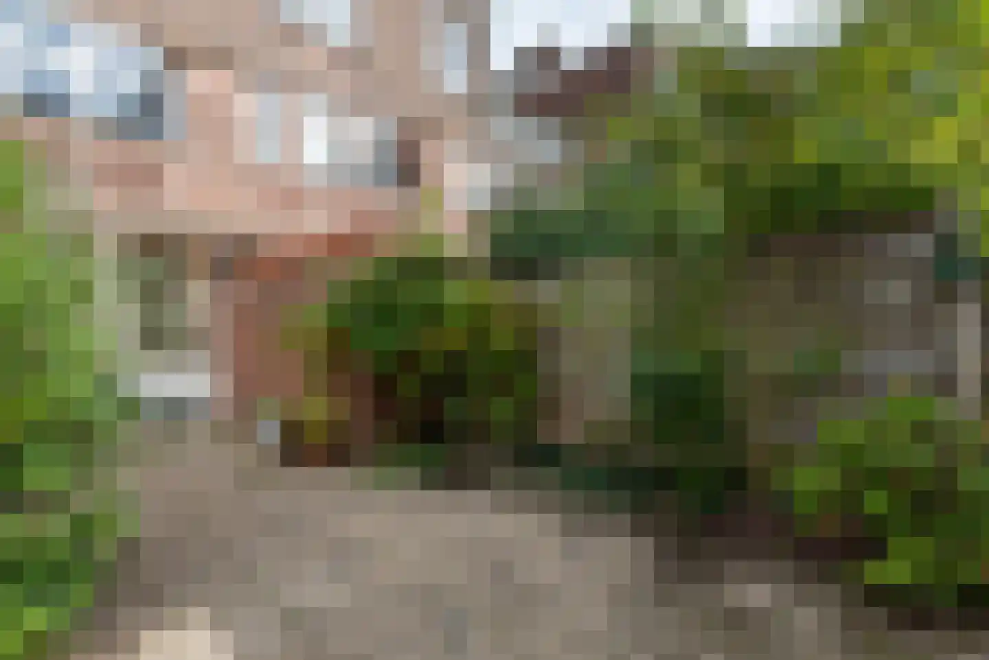Lijsterbesstraat 28 Den Haag thumbnail 15