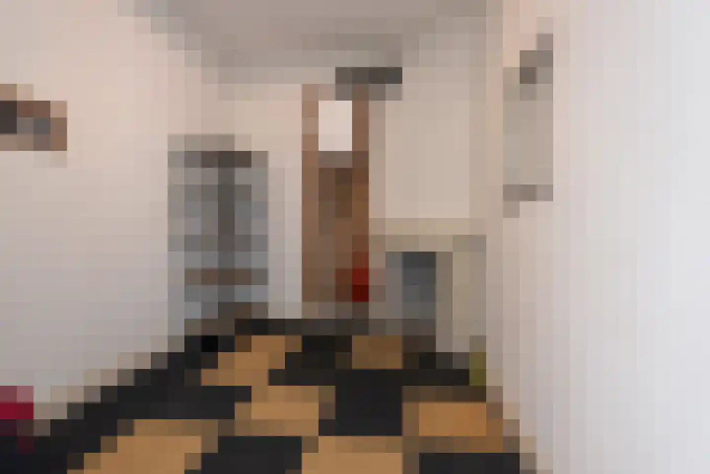 Lijsterbesstraat 28 Den Haag thumbnail 31