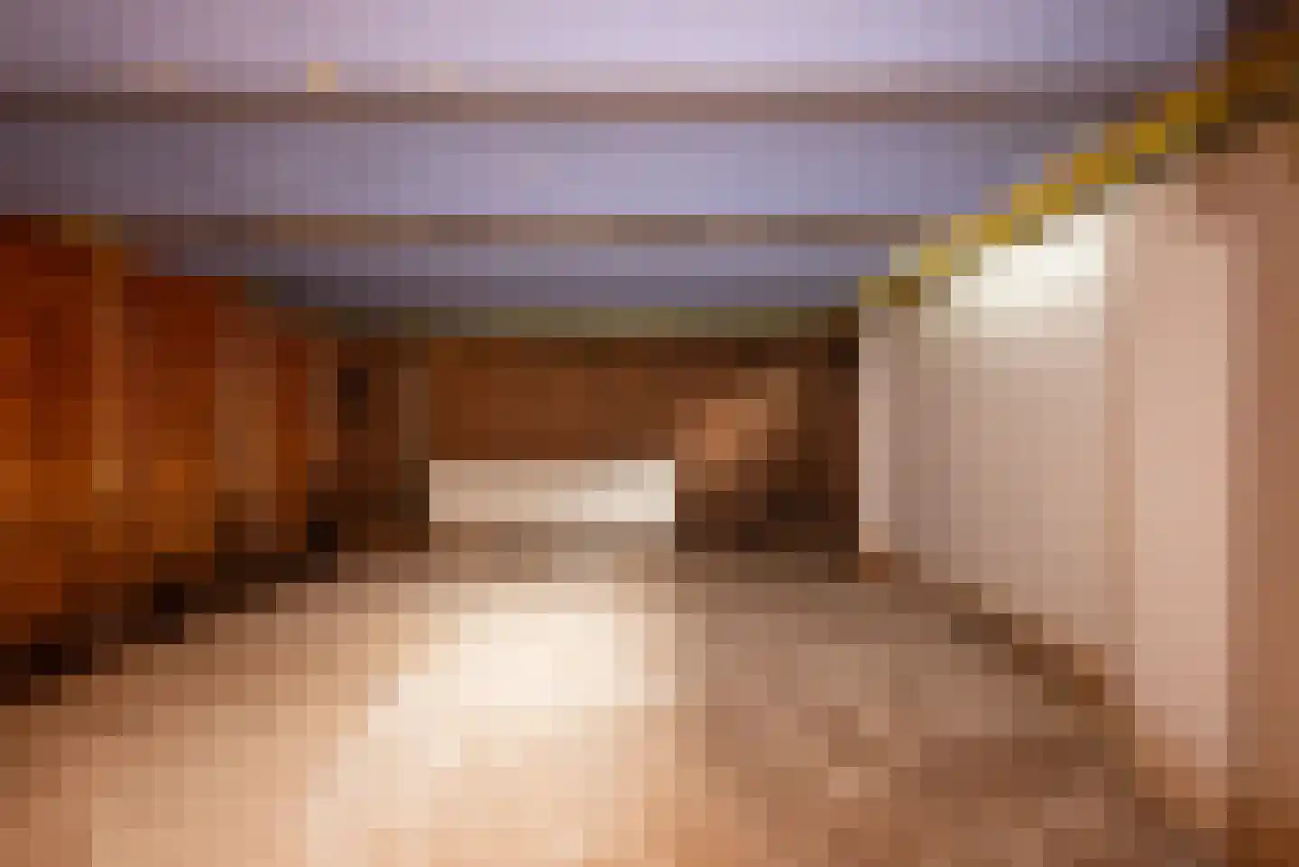 Lijsterbesstraat 28 Den Haag thumbnail 32