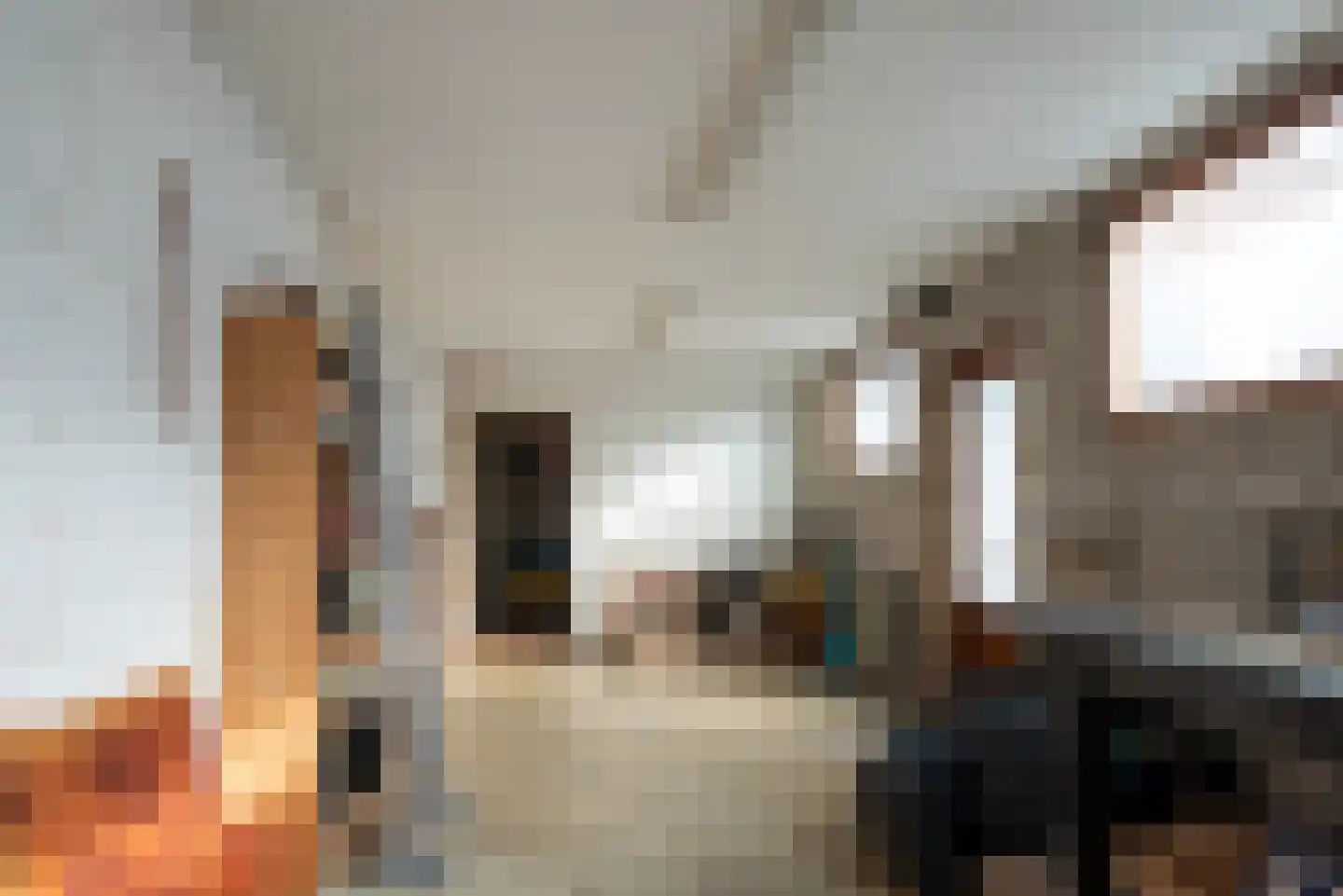 Lijsterbesstraat 28 Den Haag thumbnail 34