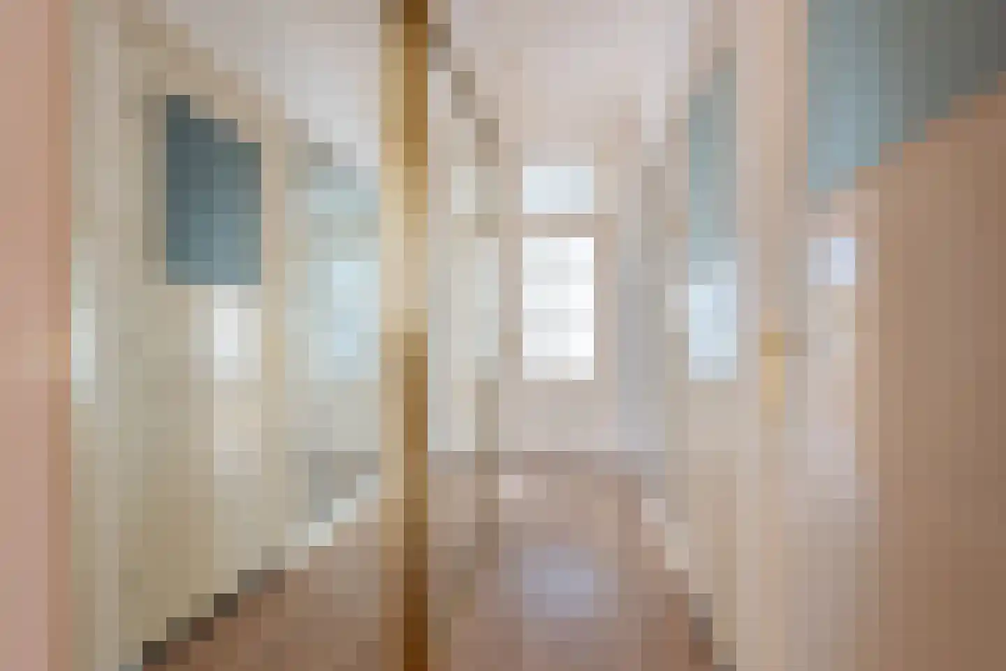 Lijsterbesstraat 28 Den Haag thumbnail 4