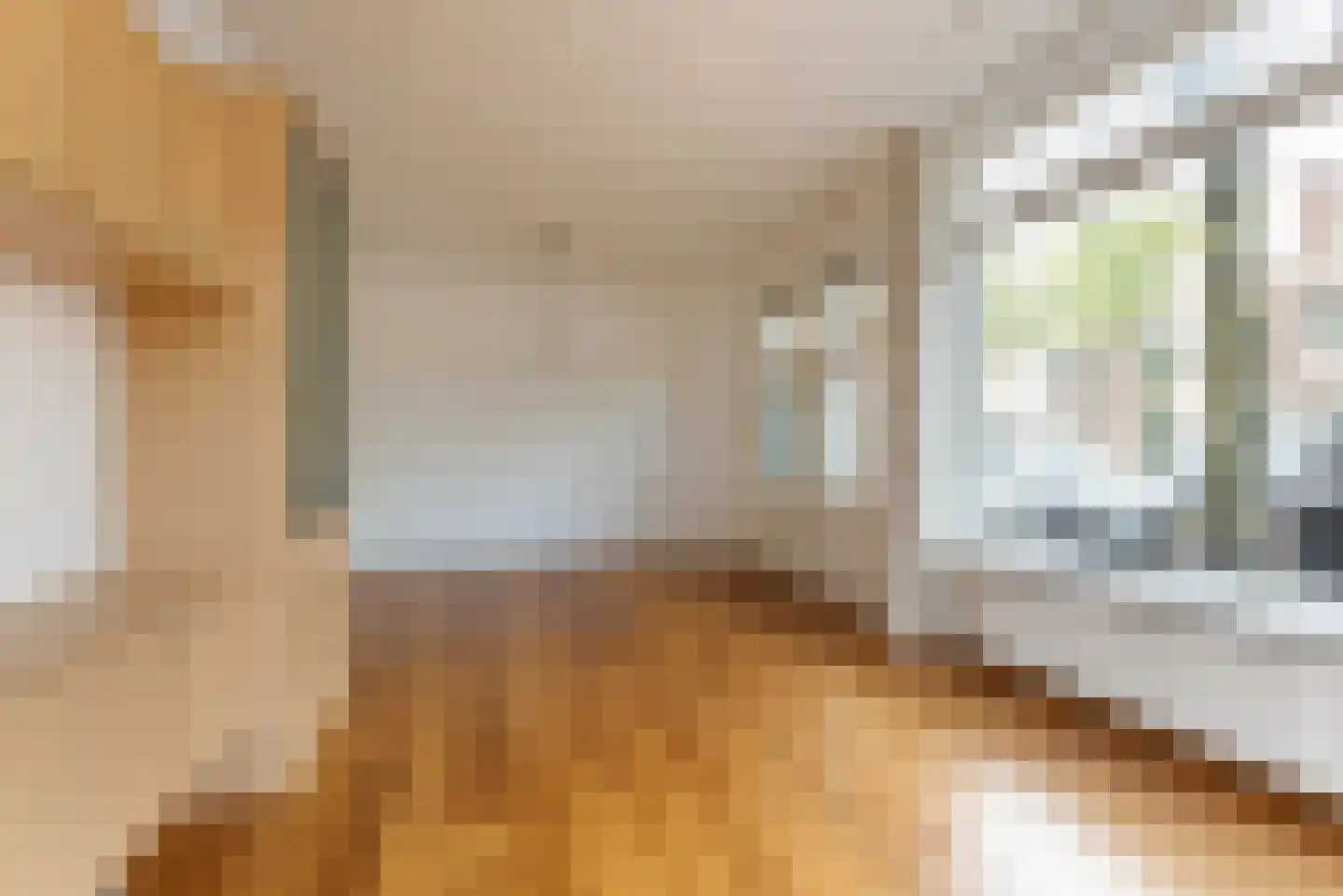 Lijsterbesstraat 28 Den Haag thumbnail 7