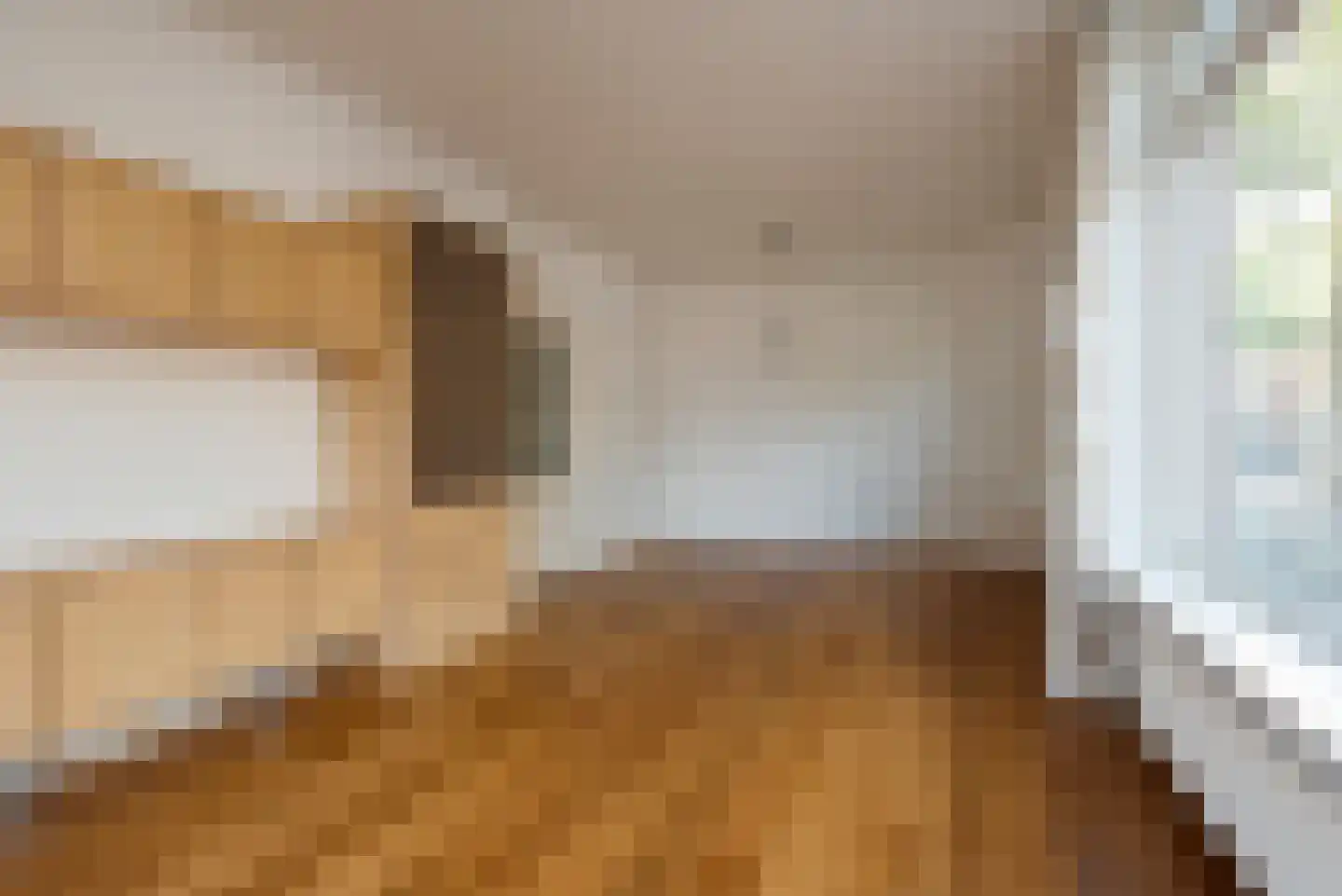 Lijsterbesstraat 28 Den Haag thumbnail 8