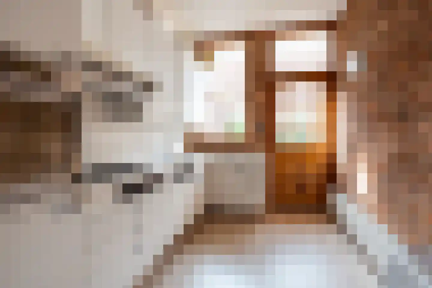 Lijsterbesstraat 28 Den Haag thumbnail 9