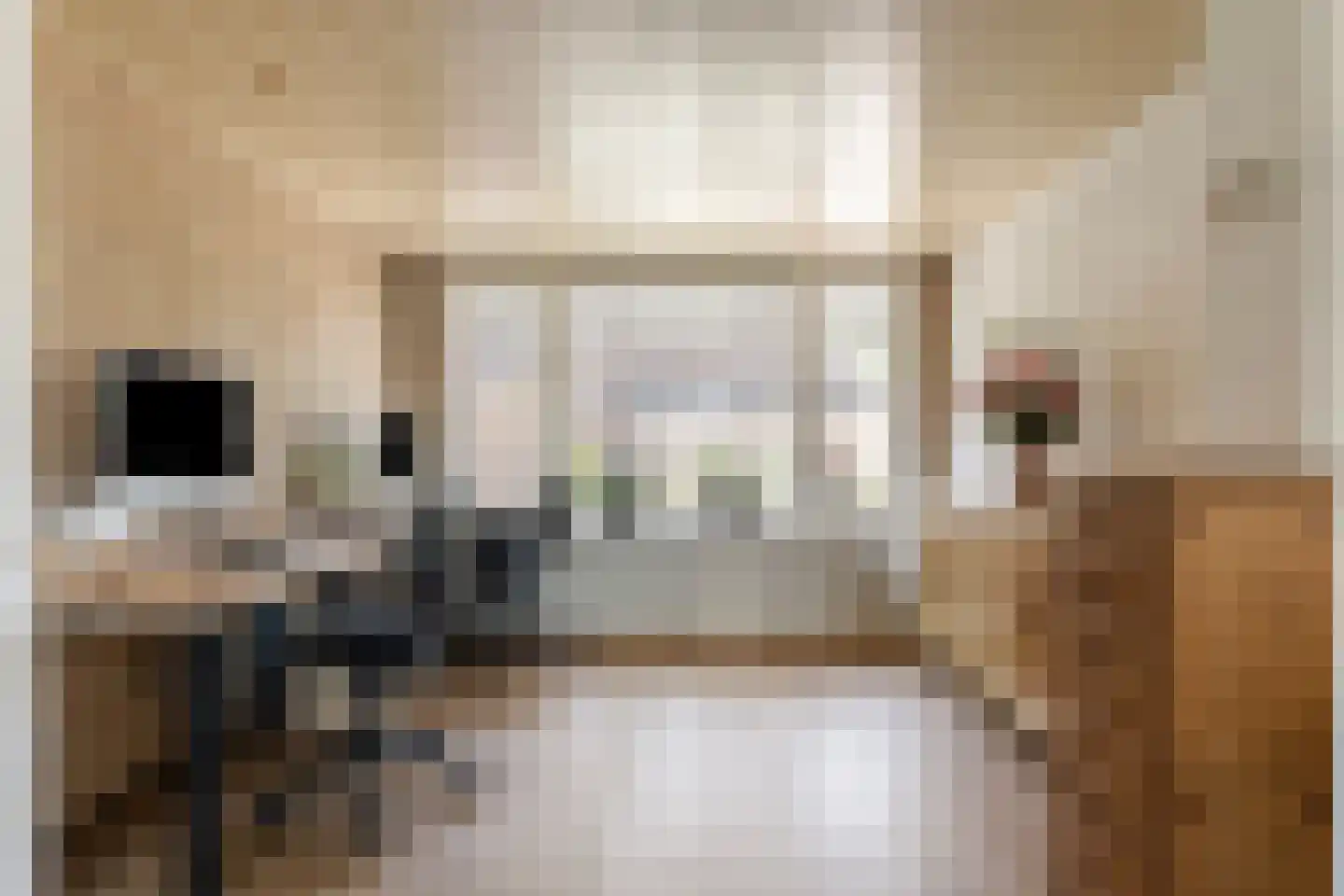 Lijsterbesstraat 3 Drunen thumbnail 10