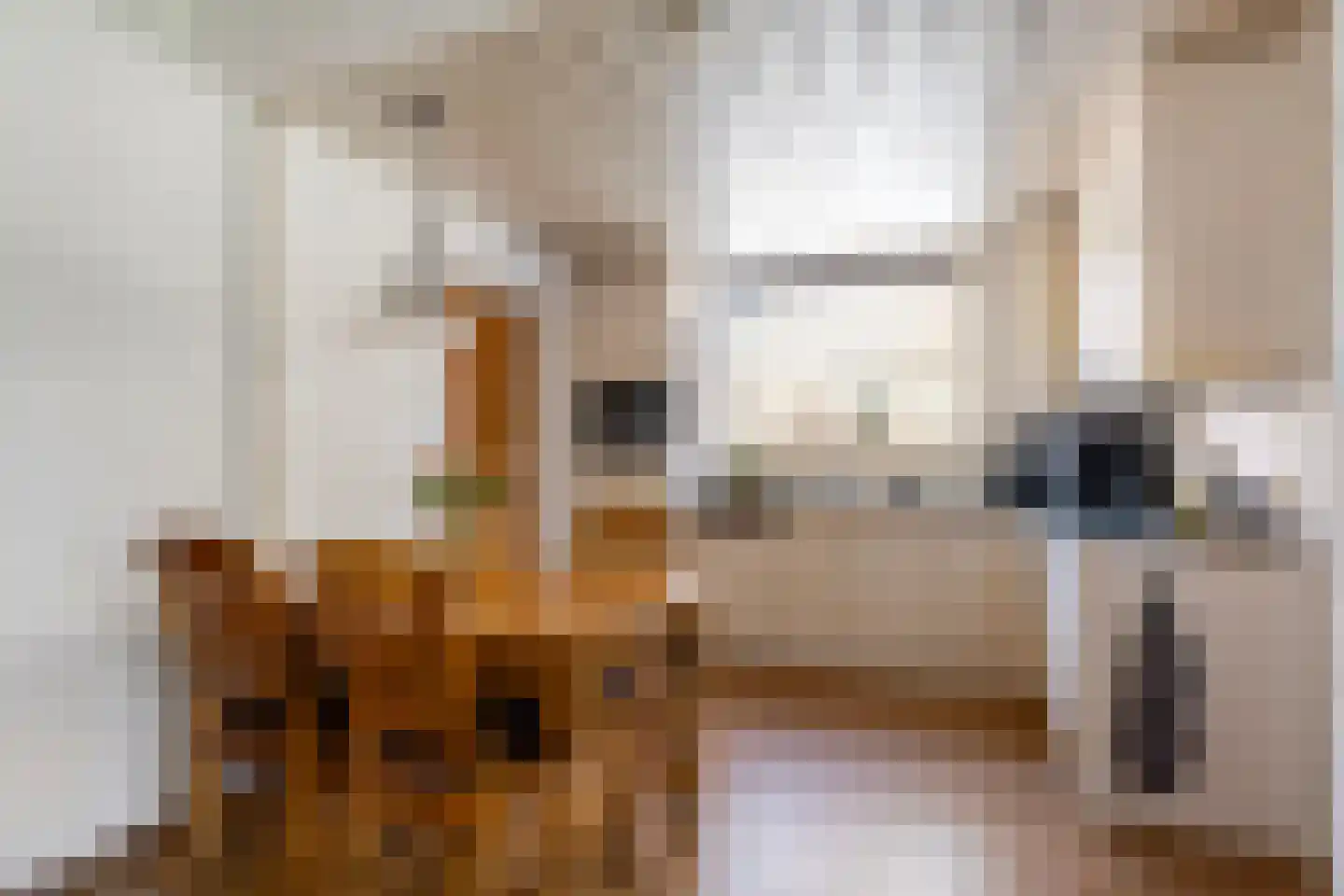 Lijsterbesstraat 3 Drunen thumbnail 13