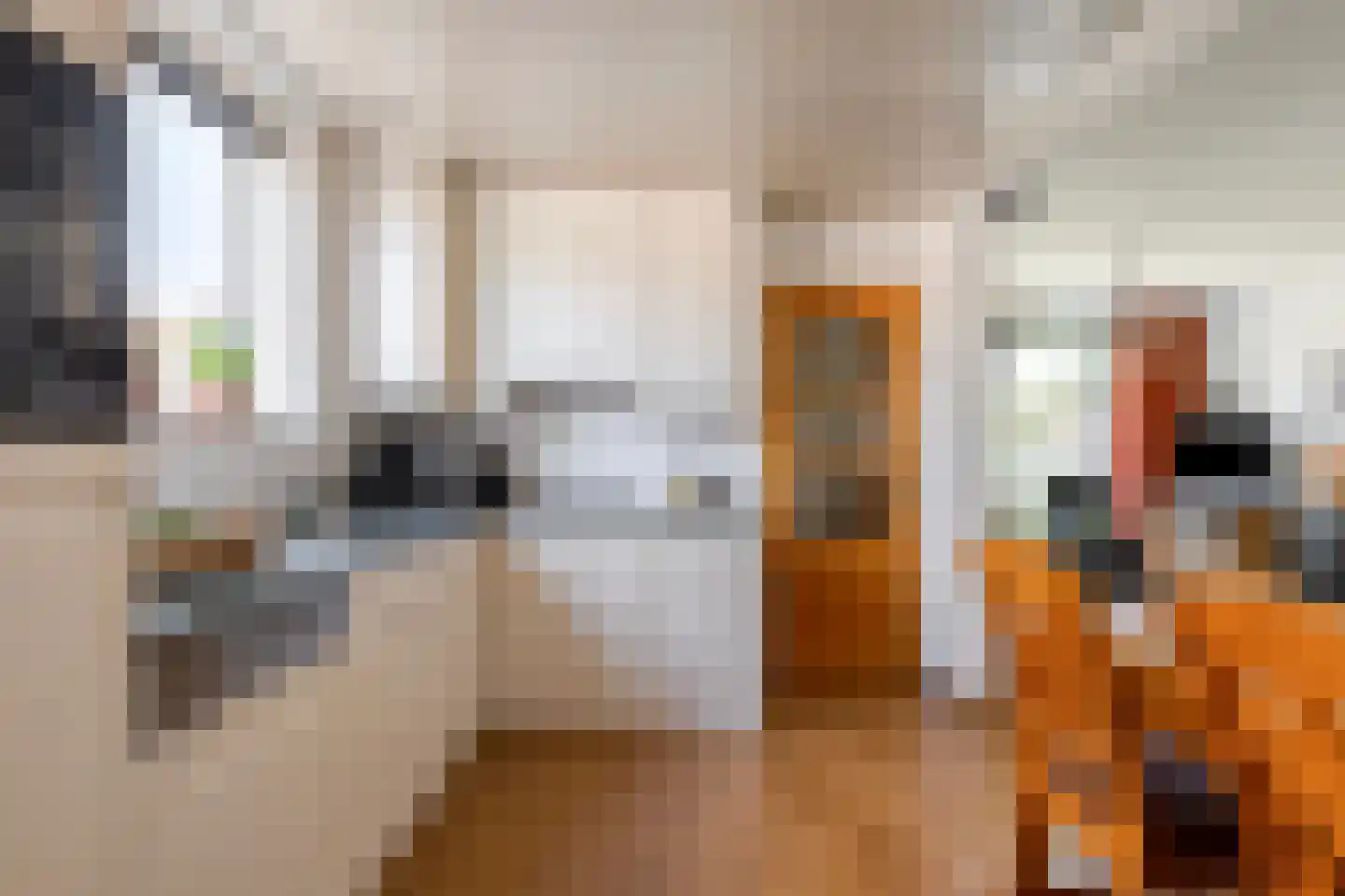 Lijsterbesstraat 3 Drunen thumbnail 15