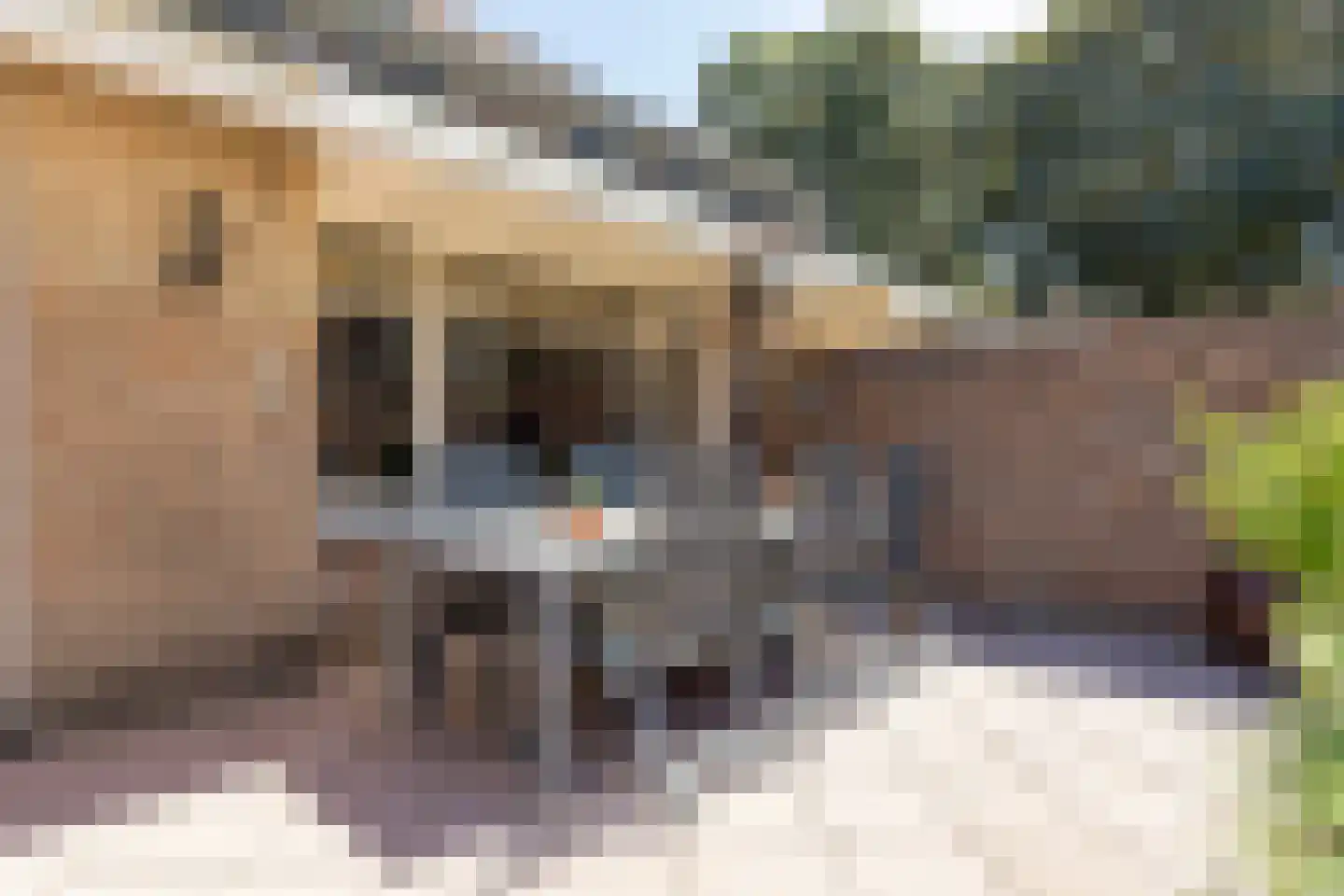 Lijsterbesstraat 3 Drunen thumbnail 32