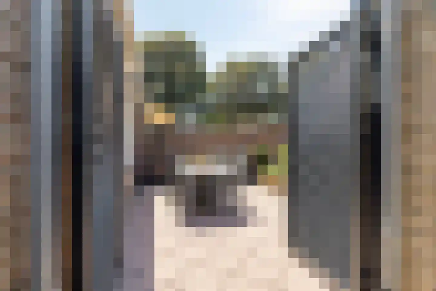 Lijsterbesstraat 3 Drunen thumbnail 34