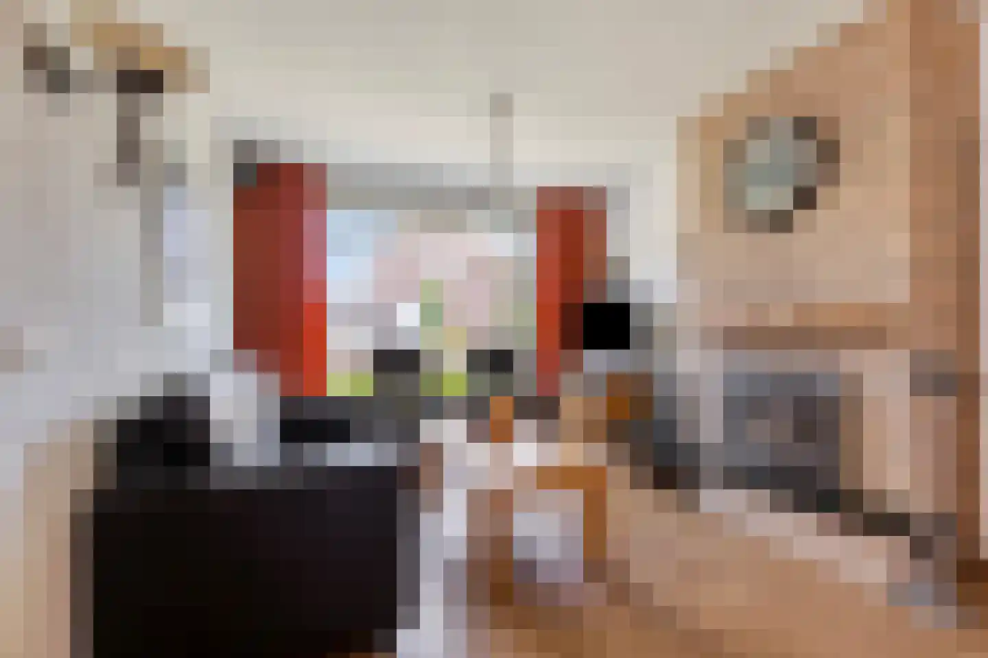 Lijsterbesstraat 3 Drunen thumbnail 4