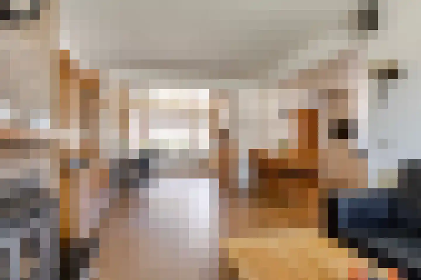 Lijsterbesstraat 3 Drunen thumbnail 9