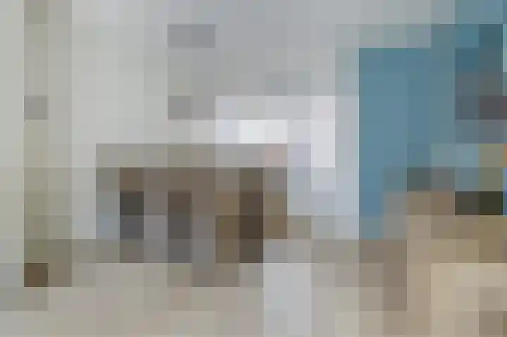Lijsterbesstraat 3 Musselkanaal thumbnail 10