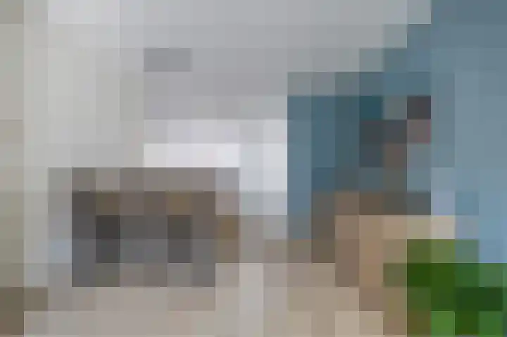 Lijsterbesstraat 3 Musselkanaal thumbnail 11