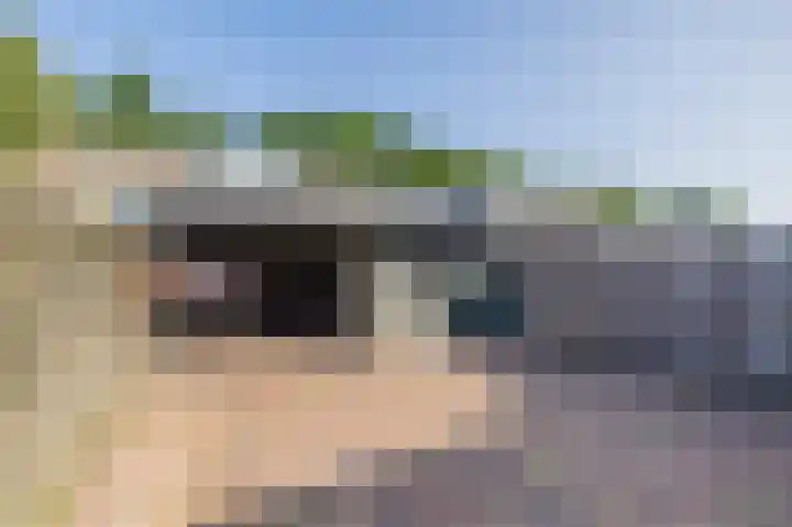 Lijsterbesstraat 3 Musselkanaal thumbnail 41