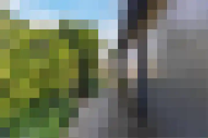Lijsterbesstraat 3 Musselkanaal thumbnail 42