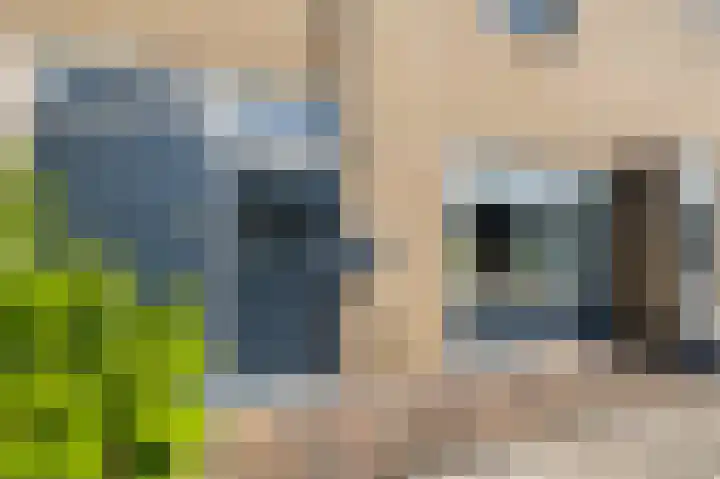 Lijsterbesstraat 3 Musselkanaal thumbnail 5