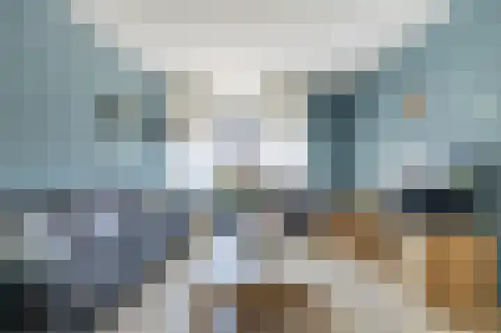 Lijsterbesstraat 3 Musselkanaal thumbnail 7
