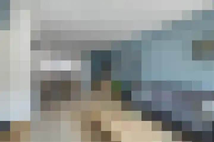 Lijsterbesstraat 3 Musselkanaal thumbnail 8