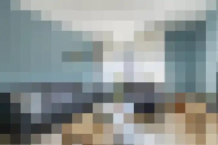 Lijsterbesstraat 3 Musselkanaal thumbnail 9