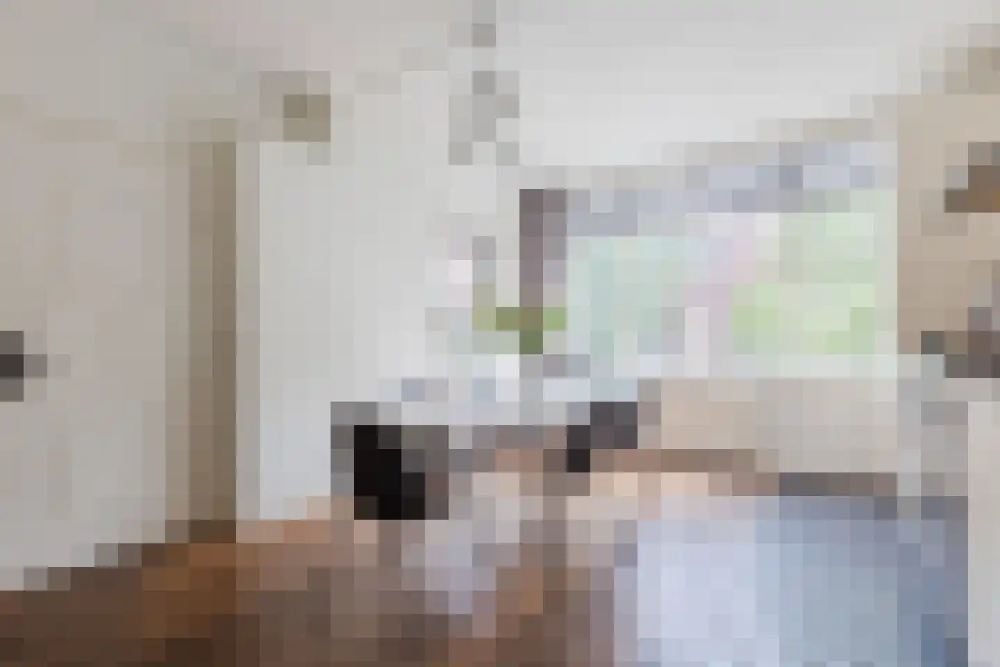 Lijsterbesstraat 3 Zaandam thumbnail 10