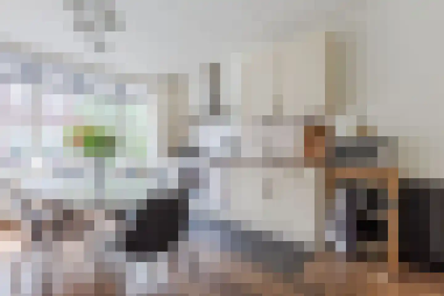 Lijsterbesstraat 3 Zaandam thumbnail 11