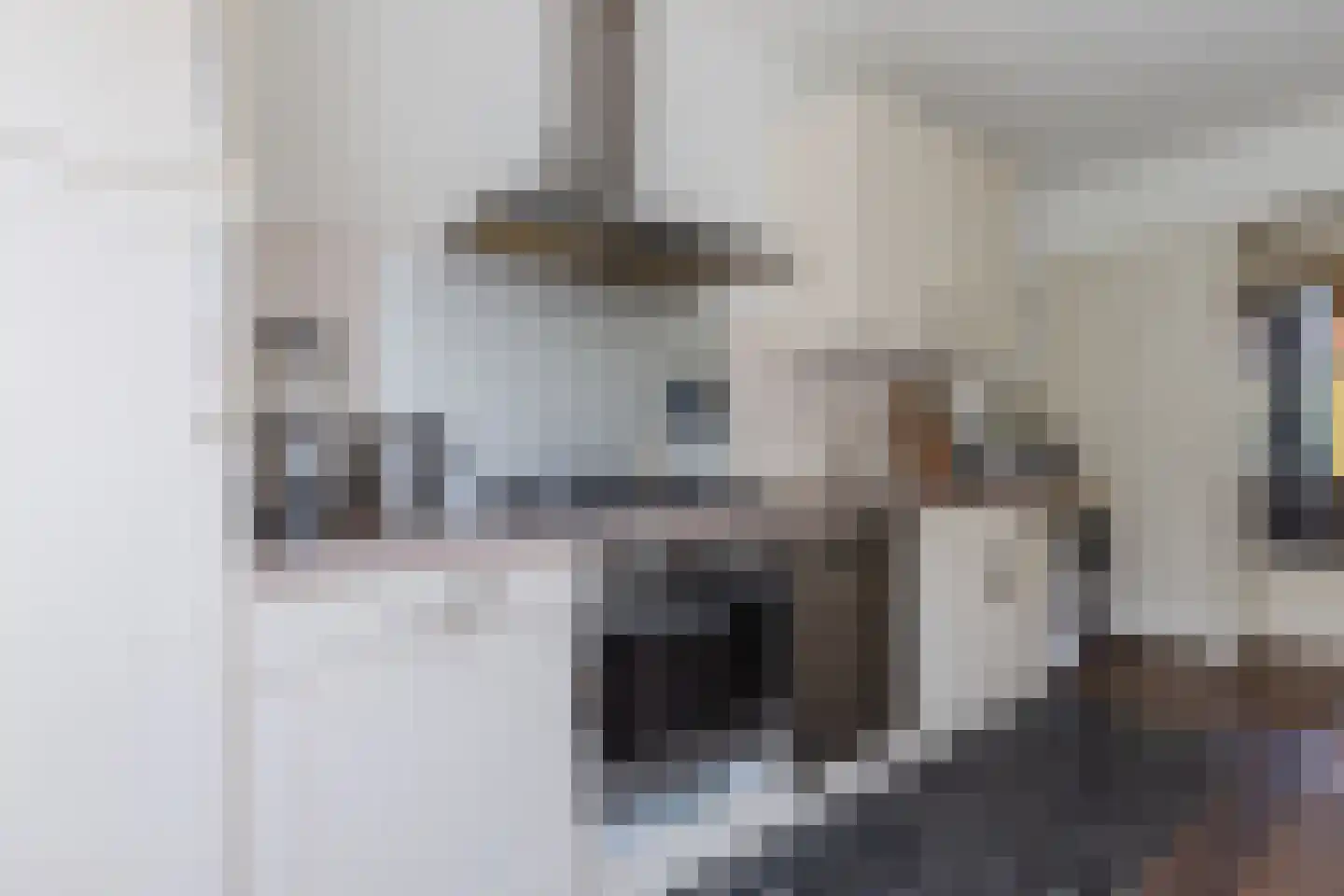Lijsterbesstraat 3 Zaandam thumbnail 13