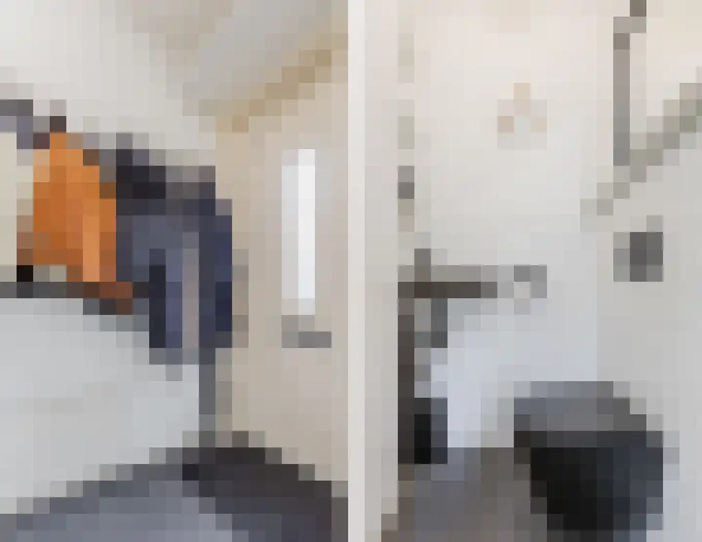 Lijsterbesstraat 3 Zaandam thumbnail 19