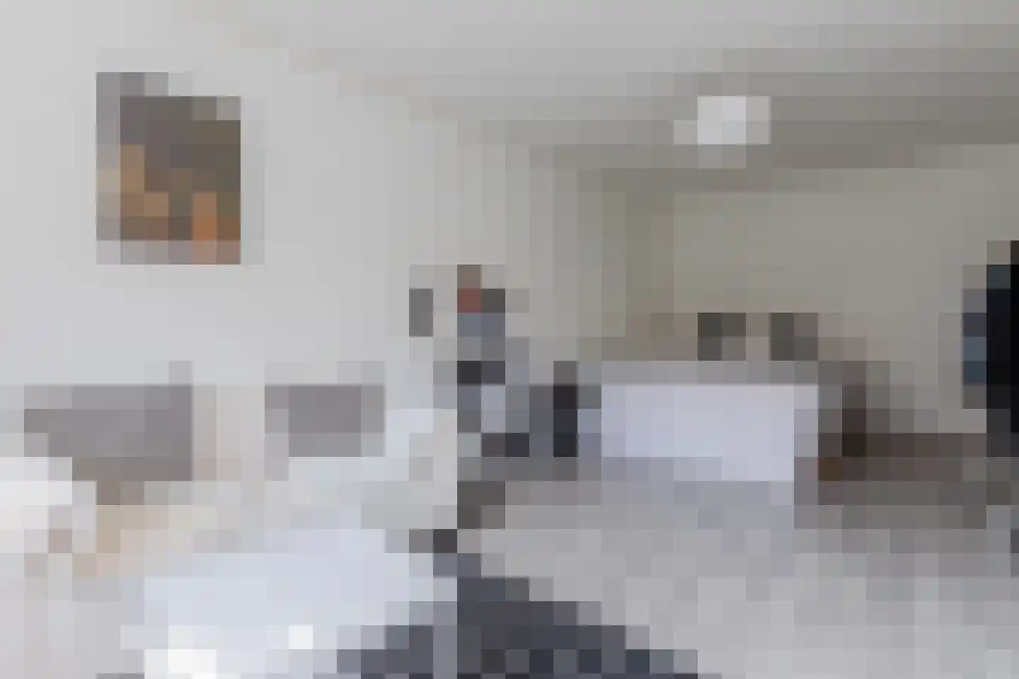 Lijsterbesstraat 3 Zaandam thumbnail 20