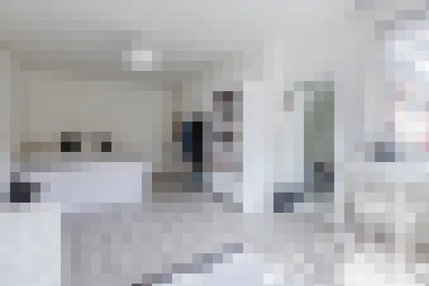 Lijsterbesstraat 3 Zaandam thumbnail 21