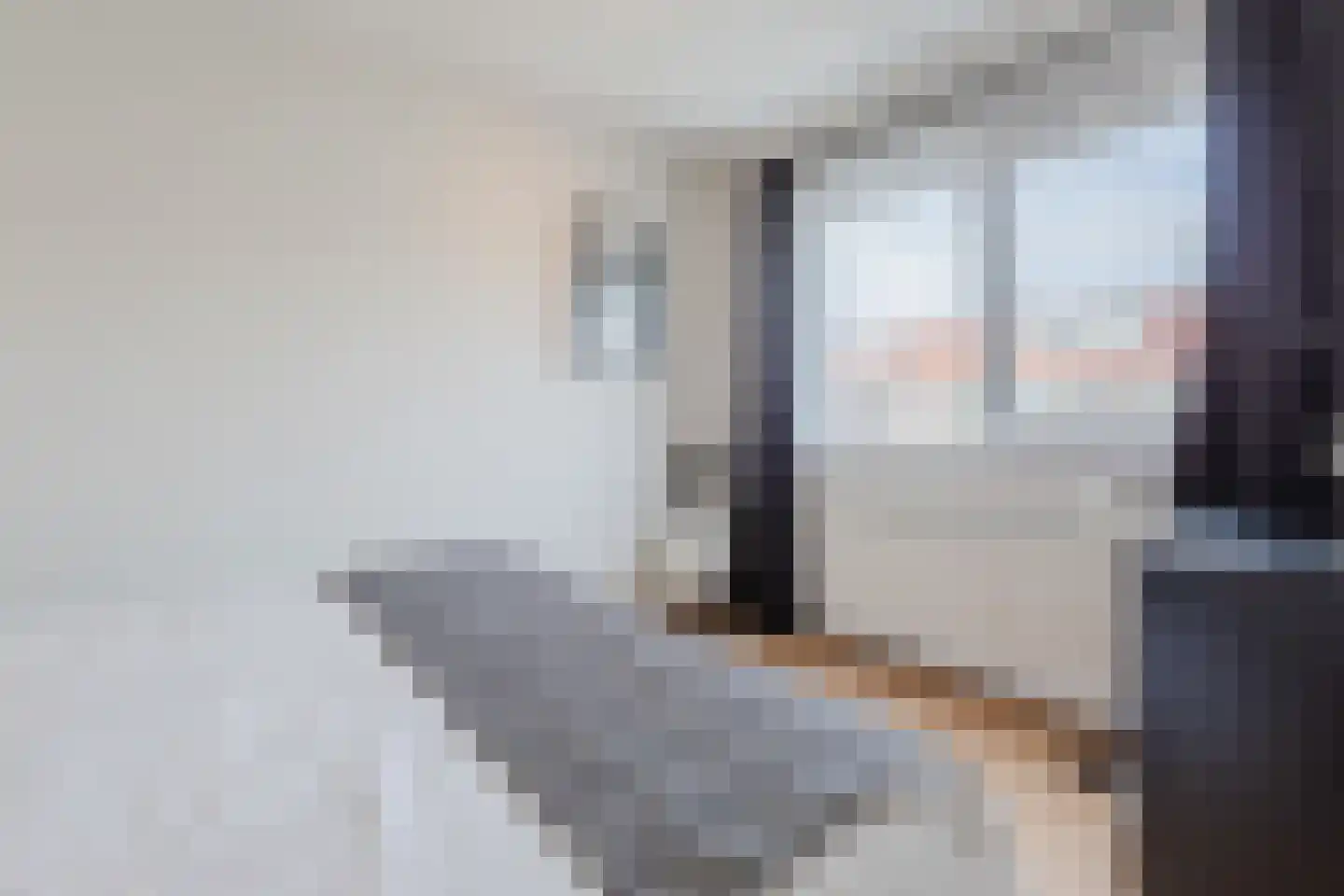 Lijsterbesstraat 3 Zaandam thumbnail 24