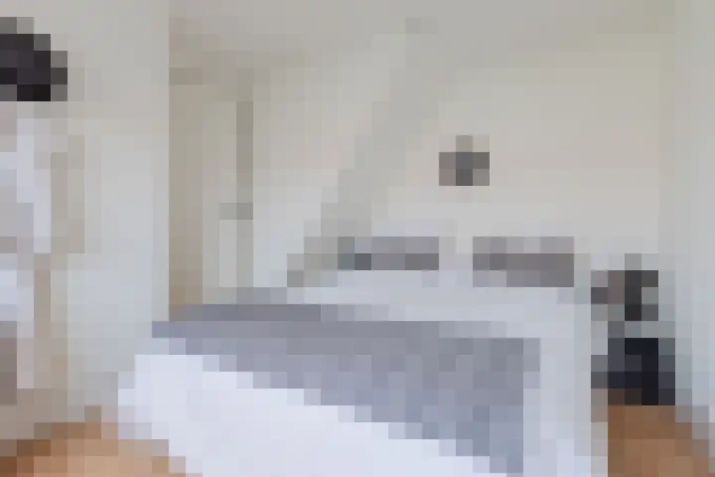 Lijsterbesstraat 3 Zaandam thumbnail 25