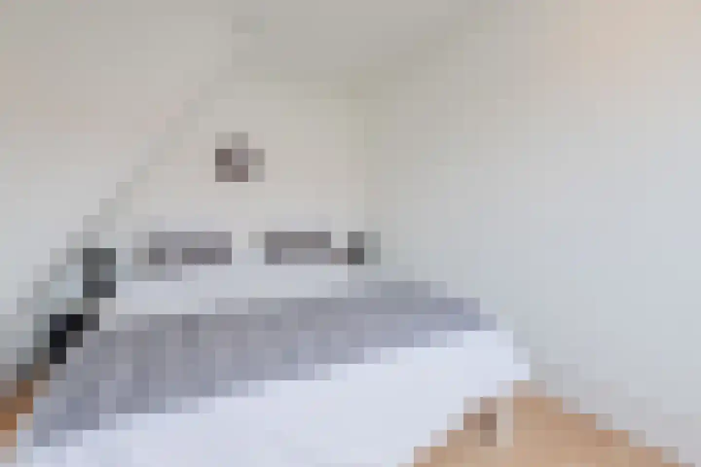 Lijsterbesstraat 3 Zaandam thumbnail 26