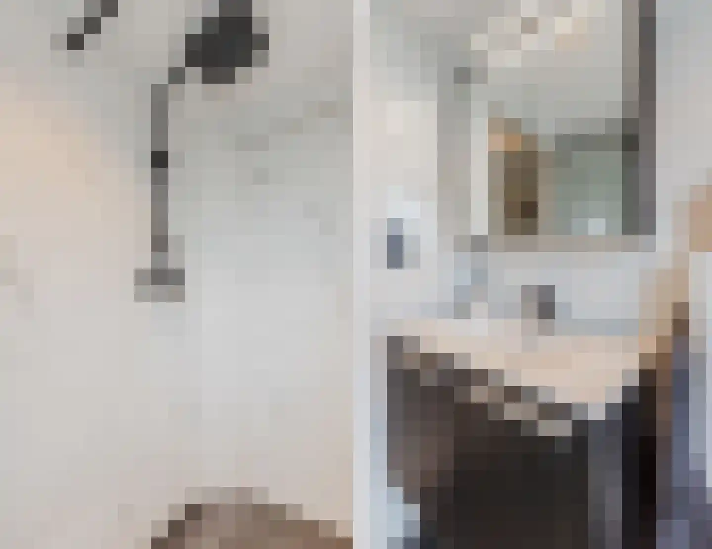 Lijsterbesstraat 3 Zaandam thumbnail 32