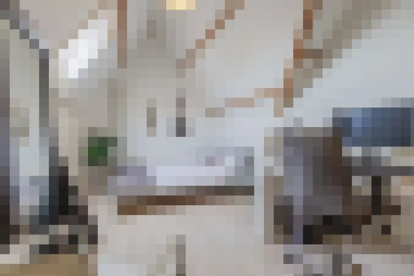 Lijsterbesstraat 3 Zaandam thumbnail 33