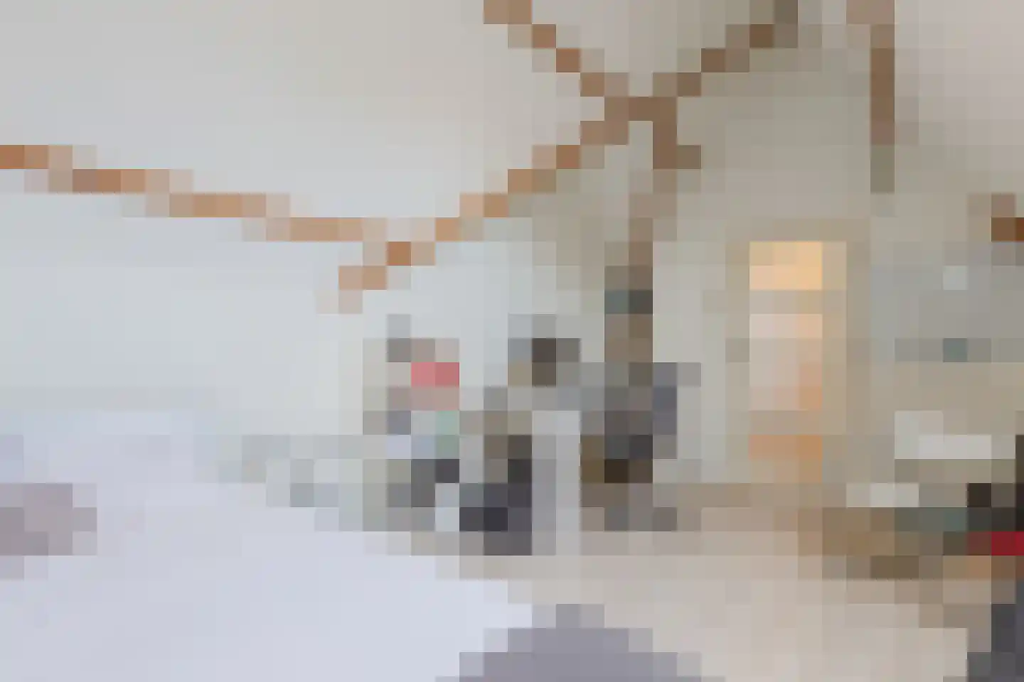 Lijsterbesstraat 3 Zaandam thumbnail 34
