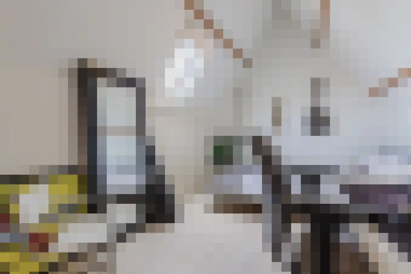 Lijsterbesstraat 3 Zaandam thumbnail 35