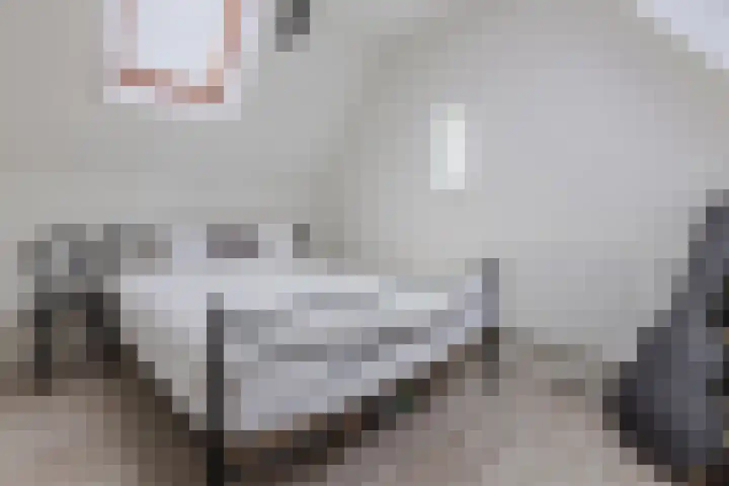 Lijsterbesstraat 3 Zaandam thumbnail 37